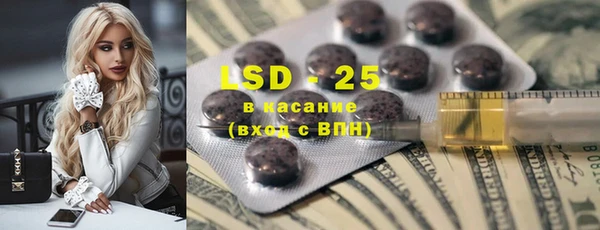индика Алексин