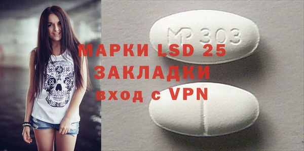 индика Алексин