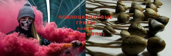 индика Алексин