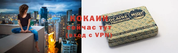 тгк Алзамай