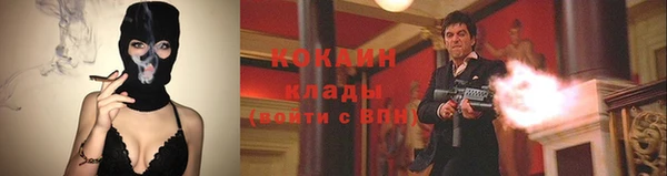 тгк Алзамай
