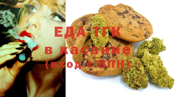 индика Алексин