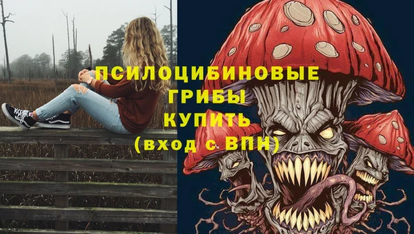 индика Алексин