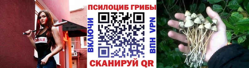 Псилоцибиновые грибы Psilocybine cubensis  купить наркоту  Балашиха 