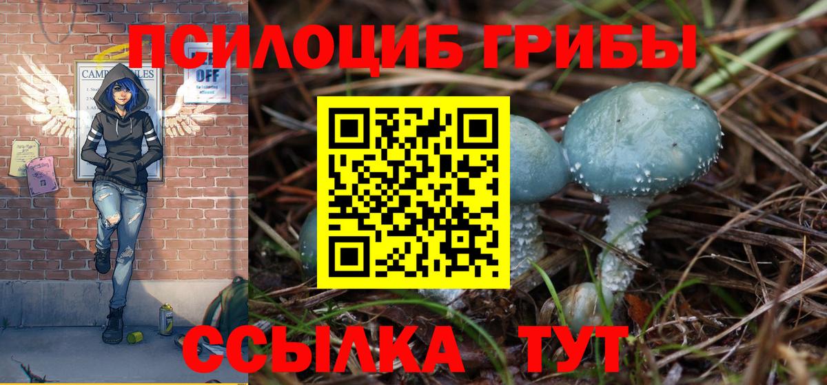 Псилоцибиновые грибы прущие грибы  Псилоцибиновые грибы GOLDEN TEACHER  Балашиха  Вход с VPN 