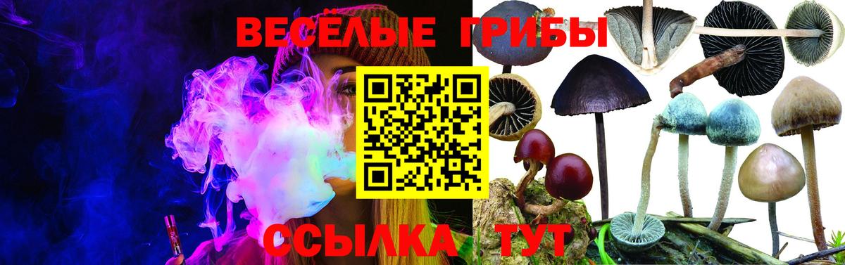 Галлюциногенные грибы мицелий Балашиха